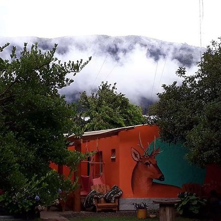 לאגו פואלו La Estacion Hostel מראה חיצוני תמונה