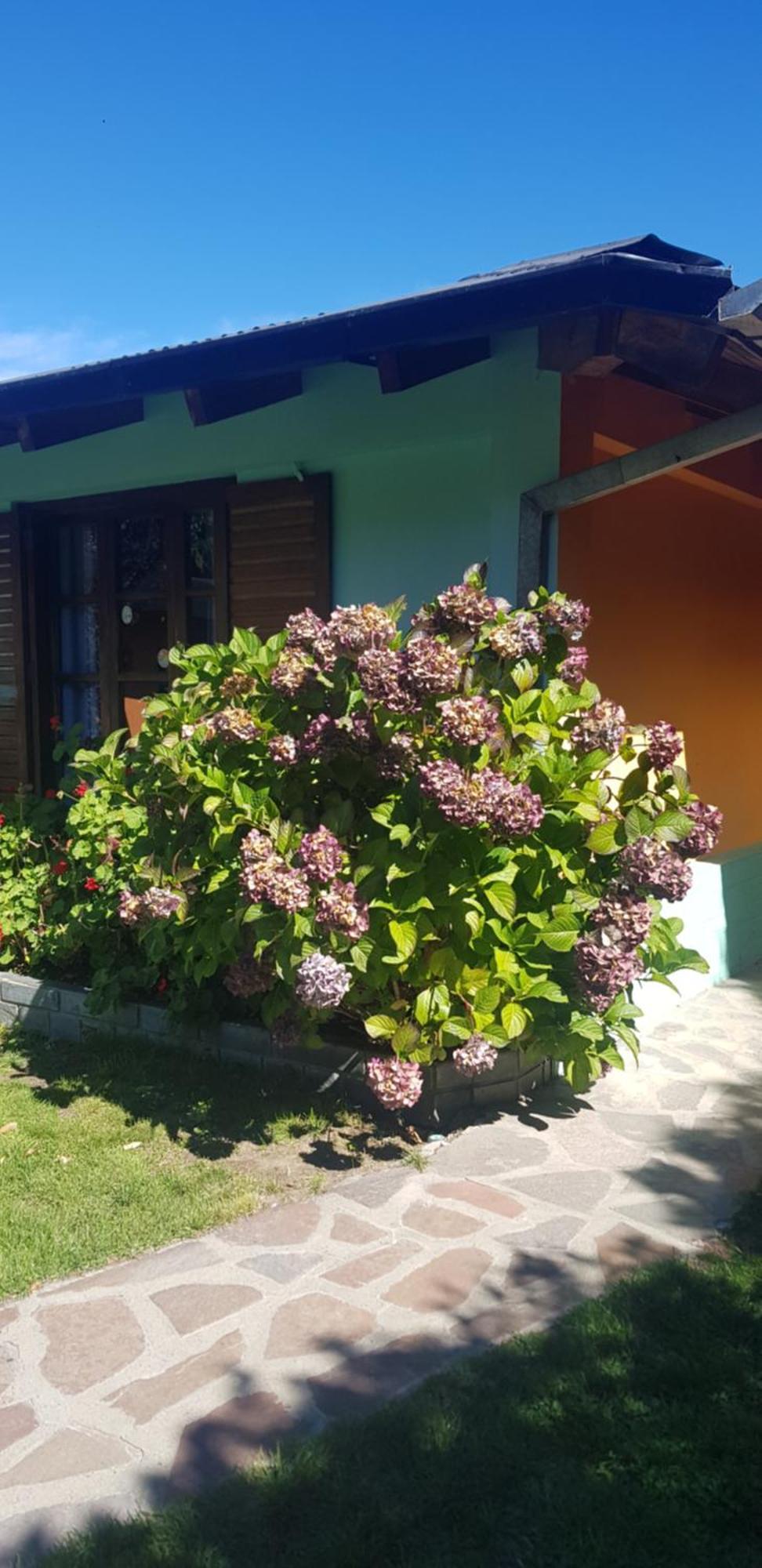 לאגו פואלו La Estacion Hostel מראה חיצוני תמונה